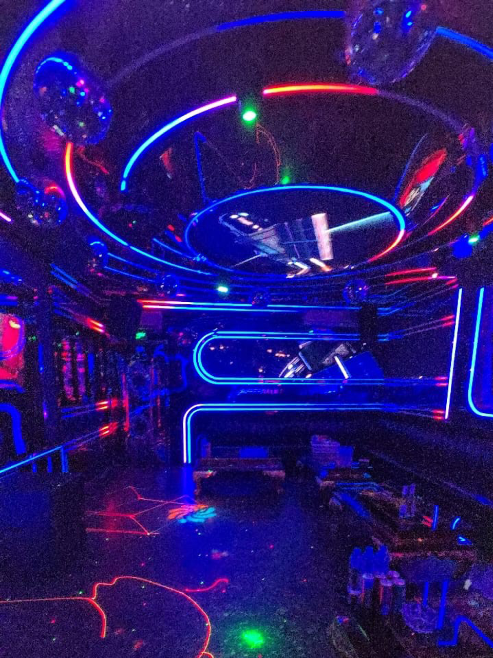 VIP-313